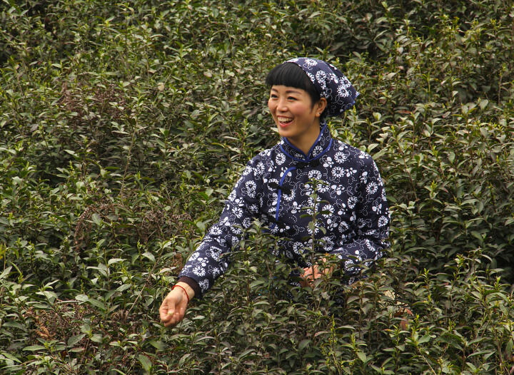 影视客服